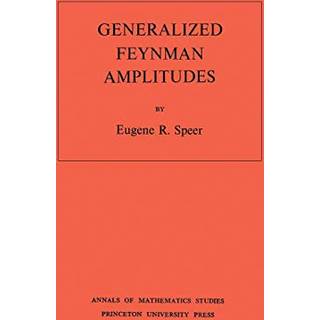 Generalized Feynman Amplitudes
