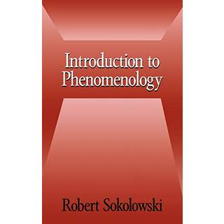 Introduction to Phenomenology
