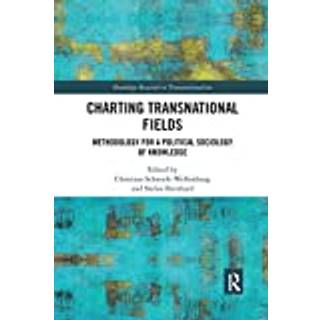 Charting Transnational Fields