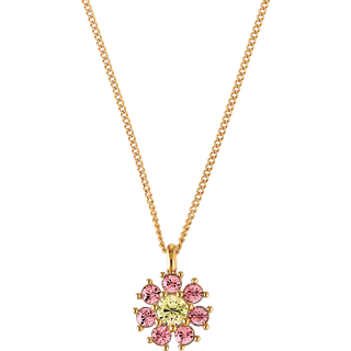 DYRBERG/KERN DELISE HALSKÆDE 440034 (Gold, Rose, ONESIZE)