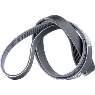 Continental 6PK1538 Metric Multi V-Belt