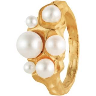 House of Vincent Venus Oracle Ring 18 kt. VJ162-URG-56 (ring) - Dame - 925 Sterling Silver
