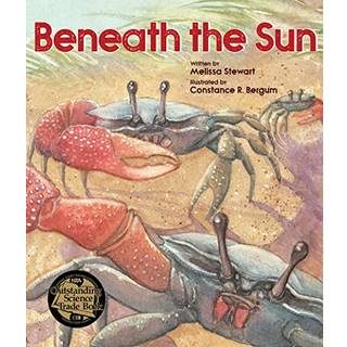 Beneath the Sun