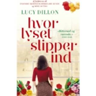 Hvor lyset slipper ind