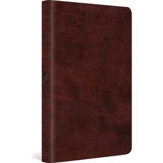 ESV Large Print Thinline Bible