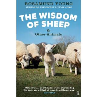 The Wisdom of Sheep & Other Animals