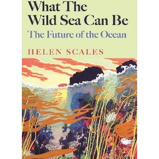 What the Wild Sea Can Be