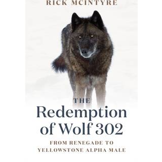 The Redemption of Wolf 302