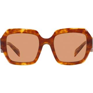 Prada PR 28ZS 10L07V 53 Solbriller Kvinder Tortoiseshell - Light Tortoise - 53mm
