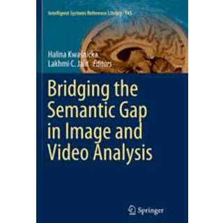 Bridging the Semantic Gap in Image and Video Analysis