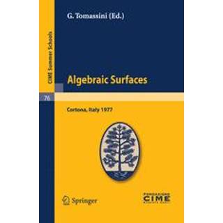 Algebraic Surfaces