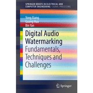 Digital Audio Watermarking
