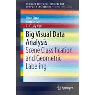 Big Visual Data Analysis