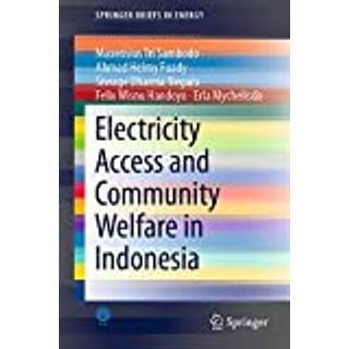 Electricity Access and Community Welfare in Indonesia