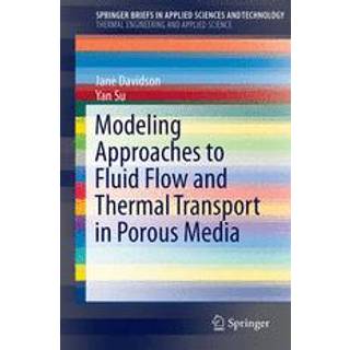 Modeling Approaches to Natural Convection in Porous Media