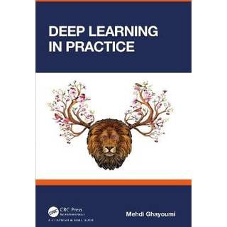 Deep Learning in Practice