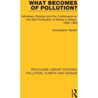 What Becomes of Pollution?