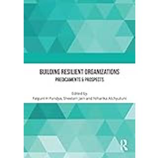 Building Resilient Organizations