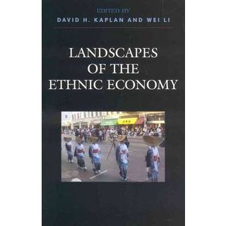 Landscapes of the Ethnic Economy