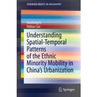 Understanding Spatial-Temporal Patterns of the Ethnic Minority Mobility in China’s Urbanization