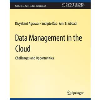 Data Management in the Cloud
