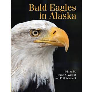 Bald Eagles in Alaska