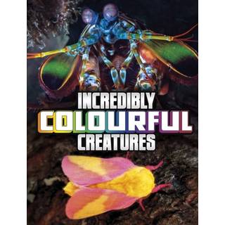 Incredibly Colourful Creatures
