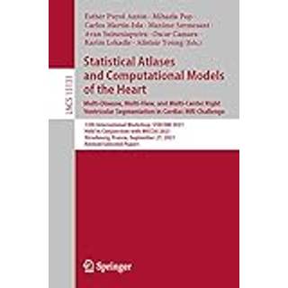 Statistical Atlases and Computational Models of the Heart. Multi-Disease, Multi-View, and Multi-Center Right Ventricular Segmentation in Cardiac MRI Challenge
