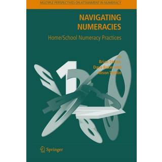Navigating Numeracies