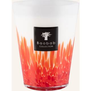 Baobab Collection FeathersScented Candle Feathers Masaai Max 24 3000 g (557,00 kr / 1 kg) - 3000 g