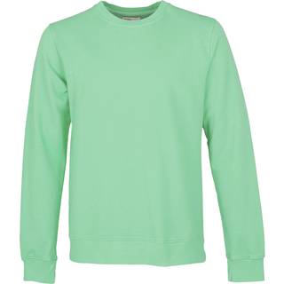Classic Organic Crew Seafoam Green (XL)