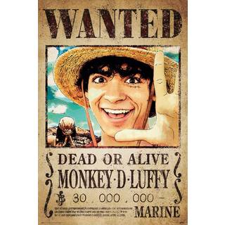 ONE PIECE NETFLIX - Wanted Luffy - Poster 61 x 91cm