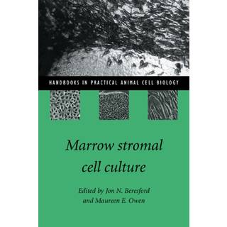 Marrow Stromal Cell Culture