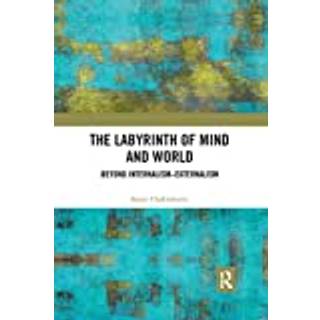 The Labyrinth of Mind and World