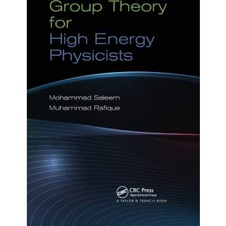 Group Theory for High Energy Physicists