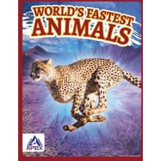 World’s Fastest Animals