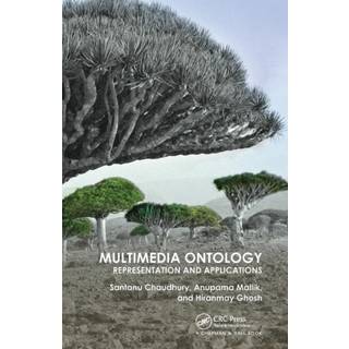 Multimedia Ontology