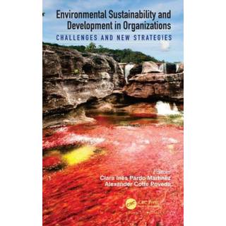 Environmental Sustainability and Development in Organizations