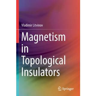Magnetism in Topological Insulators