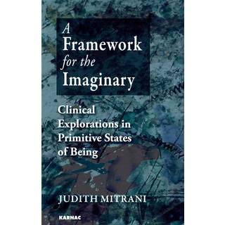 A Framework for the Imaginary