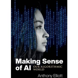 Making Sense of AI