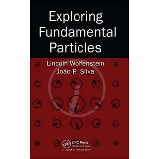Exploring Fundamental Particles
