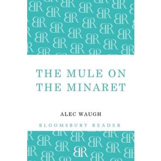 The Mule on the Minaret