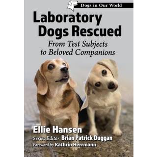 Laboratory Dogs Rescued