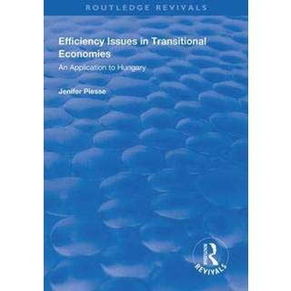 Efficiency Issues in Transitional Economies