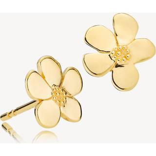 Pansy Øreringe, Gold Plated