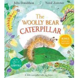 The Woolly Bear Caterpillar