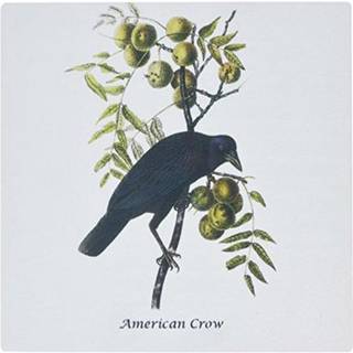 3Drose LLC 8 x 8 x 0,25 tommer Mouse Pad American Crow af John James Audubon (MP_114049_1)