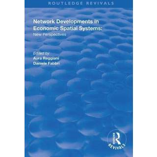 Network Developments in Economic Spatial Systems