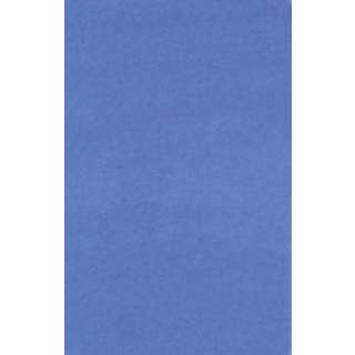 Anti-Disciplinary Protest